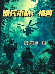 雇佣兵小说 完整版